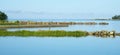 A small creek on the bay fenced with granite stones and grass. A clear summer morning