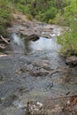 Beedelup National Park, Western Australia