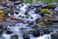 SMall creek close to Multnomah Falls Oregon Royalty Free Stock Photo