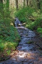 Small Creek Close To Multnomah Falls Oregon Royalty Free Stock Photo