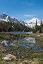 Small creek in Eastern Sierra Nevada mountains in California, along the John Muir Trail in Little Lakes Valley Heart Lake in Mono Royalty Free Stock Photo