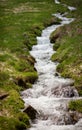 Small creek in field