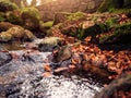 Small creek flows in a park, stone fence in the background, Sun flare, Autumn winter season