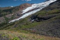 Mount Baker glaciers, creeks, waterfalls and summer wildflowers, WA, USA