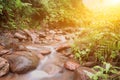 Small creek in the forest lit by rays of the sun Royalty Free Stock Photo