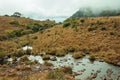 Small creek going through bushed towards cliff Royalty Free Stock Photo