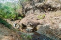 Small creek in National Park El Imposible, El Salvad