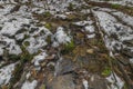 Small creek near Zlata Koruna village with green moss stone in winter cold day Royalty Free Stock Photo