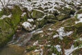 Small creek near Zlata Koruna village with green moss stone in winter cold day Royalty Free Stock Photo