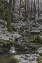 Small creek near Zlata Koruna village with green moss stone in winter cold day Royalty Free Stock Photo