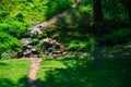 A small creek overgrown with mud and green grass Royalty Free Stock Photo