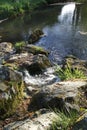 Small creek, river falls over a small waterfall, over stones, into a lake Royalty Free Stock Photo