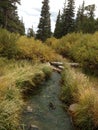 Small creek in the Rockies Royalty Free Stock Photo