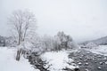 Small creek and tree covered in snow, Japan Royalty Free Stock Photo