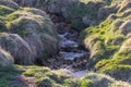 Small creek through tundra in rural Iceland Royalty Free Stock Photo