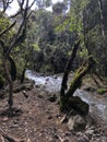 Small creek at Waiotapu thermal wonderland, New Zealand