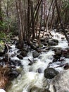 Small Creek, water cascading over the rocks near Bridalveil Falls - Yosemite National Park, Sierra Nevada, California Royalty Free Stock Photo