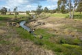 A small creek/waterway in a large public park. Australian nature landscape. Hoppers Crossing Drain, Melbourne, VIC Australia