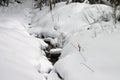 Small creek in a winter forest. Royalty Free Stock Photo