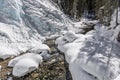 small creek in the winter park spring forest and snowfall Royalty Free Stock Photo