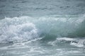 Small cresting wave in the Atlantic Ocean on the coast. Blue green ocean waves with sea foam and salt water spray. Beach travel Royalty Free Stock Photo