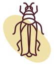 Small cricket, icon