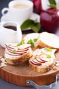 Small crostini with ricotta and apple