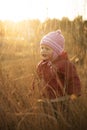 Small crying 2 years old girl in pink hat and red coat stays in wheat field in sunset time with pain on face. Difficult moment of