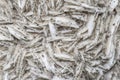 Small cube-shaped crystals of pyrite on milk-white barite. Natural minerals as background