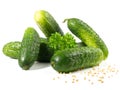 Small Cucumbers for Pickles with Mustard Seeds on white Background - Isolated Royalty Free Stock Photo