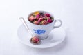 Small cup with dry roses tea Royalty Free Stock Photo