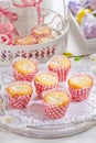 Small curd cheese muffins or cupcakes