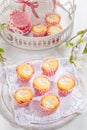Small curd cheese muffins or cupcakes