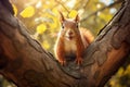 Small Curious squirrel branch nut. Generate Ai