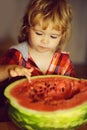 Small boy eating red watermelon Royalty Free Stock Photo