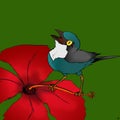 Small cute blue bird on red beautiful flower with green background digital drawing cartoon Royalty Free Stock Photo