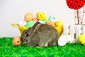 Small cute bunny with easter eggs