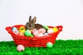 Small cute bunny with easter eggs