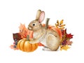 Small cute bunny with pumpkins autumn decoration. Watercolor illustration. Hand drawn cozy autumn decor with orange