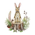 Small cute bunny on a tree stamp. Watercolor illustration. Hand drawn forest scene with rabbit, forest herbs, fern