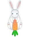 A small, cute, cartoon rabbit eating a big orange carrot. White funny hare with a carrot. Easter Bunny - children`s vector illustr