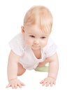 Small cute child on white background