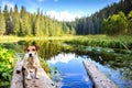 Small cute dog standing near the lake Royalty Free Stock Photo