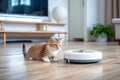 small cute fluffy kitten watches a robot vacuum cleaner cleaning a light parquet floor in a modern living room in a minimalist