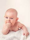 Small cute funny baby infant teething with face expression hands and fingers in mouth sore gums Royalty Free Stock Photo