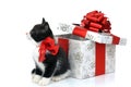 Small cute kitten with gift box Royalty Free Stock Photo