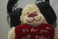 The small cute loving beautiful amazing teddy bear Royalty Free Stock Photo