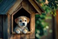 Small cute puppy inside dog house in a backyard. Ai Generative Royalty Free Stock Photo