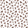 Small cute Woodpeckers birds flying and eating on white background. Raster seamless pattern