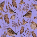 Small cute Woodpeckers birds with seeds and wheat on purple background. Raster seamless pattern